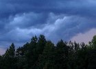 IMG 9517