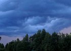 IMG 9518