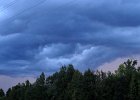 IMG 9519