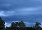 IMG 9520